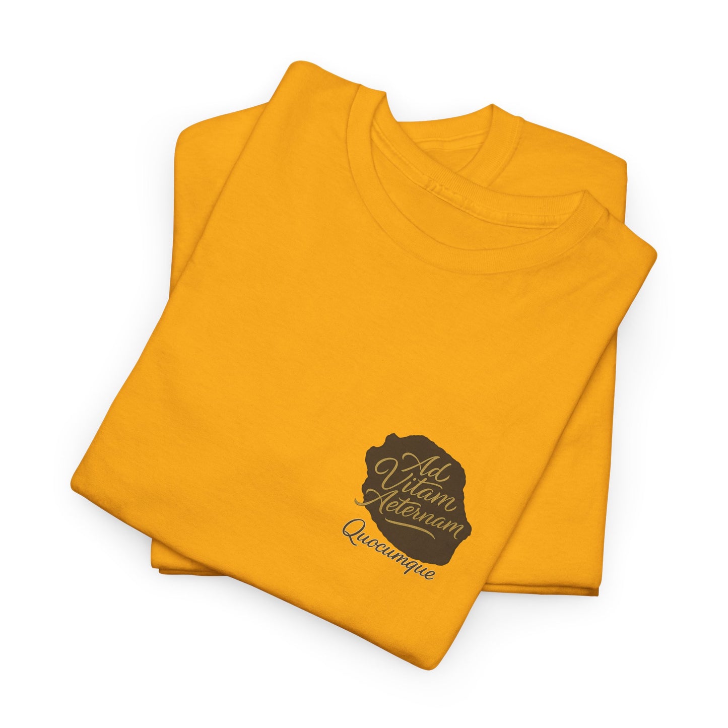 T-shirt Quocumque, Devise Latine, Confort Coton, Sobre, Elégant, Souvenir Unique, Cadeau, Unisexe, Esprit Voyageur, Adulte