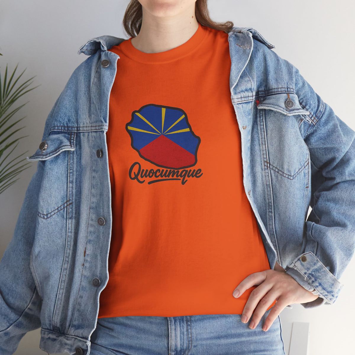 T-shirt "Drapeau Pays", Exotisme, Destination Île de La Réunion, Confort Coton, Sobre, Elégant, Souvenir Unique, Cadeau, Unisexe, Esprit Voyageur